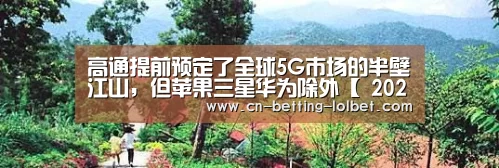 高通提前预定了全球5G市场的半壁江山,但苹果三星华为除外【 2026年最佳英雄联盟投注网站】(图1) LoL投注网站