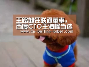王路卸任联通董事,百度CTO王海峰当选_LoL投注网站 (图1) LoL投注网站